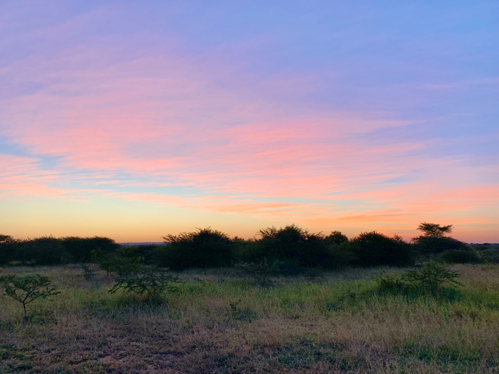 Landscape at dusk